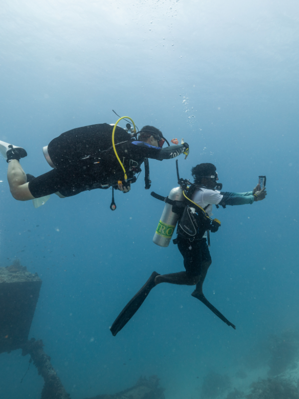 Christmas Dive